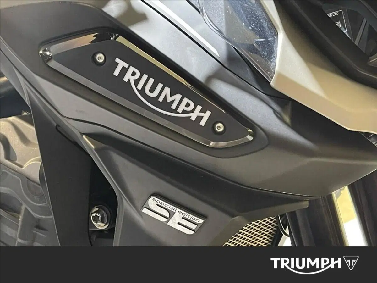 Triumph Tiger 1200 Desert Special Edition (2026) (8)