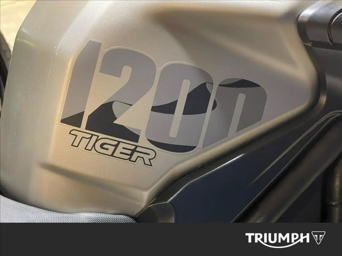 Triumph Tiger 1200 Desert Special Edition (2026) (7)