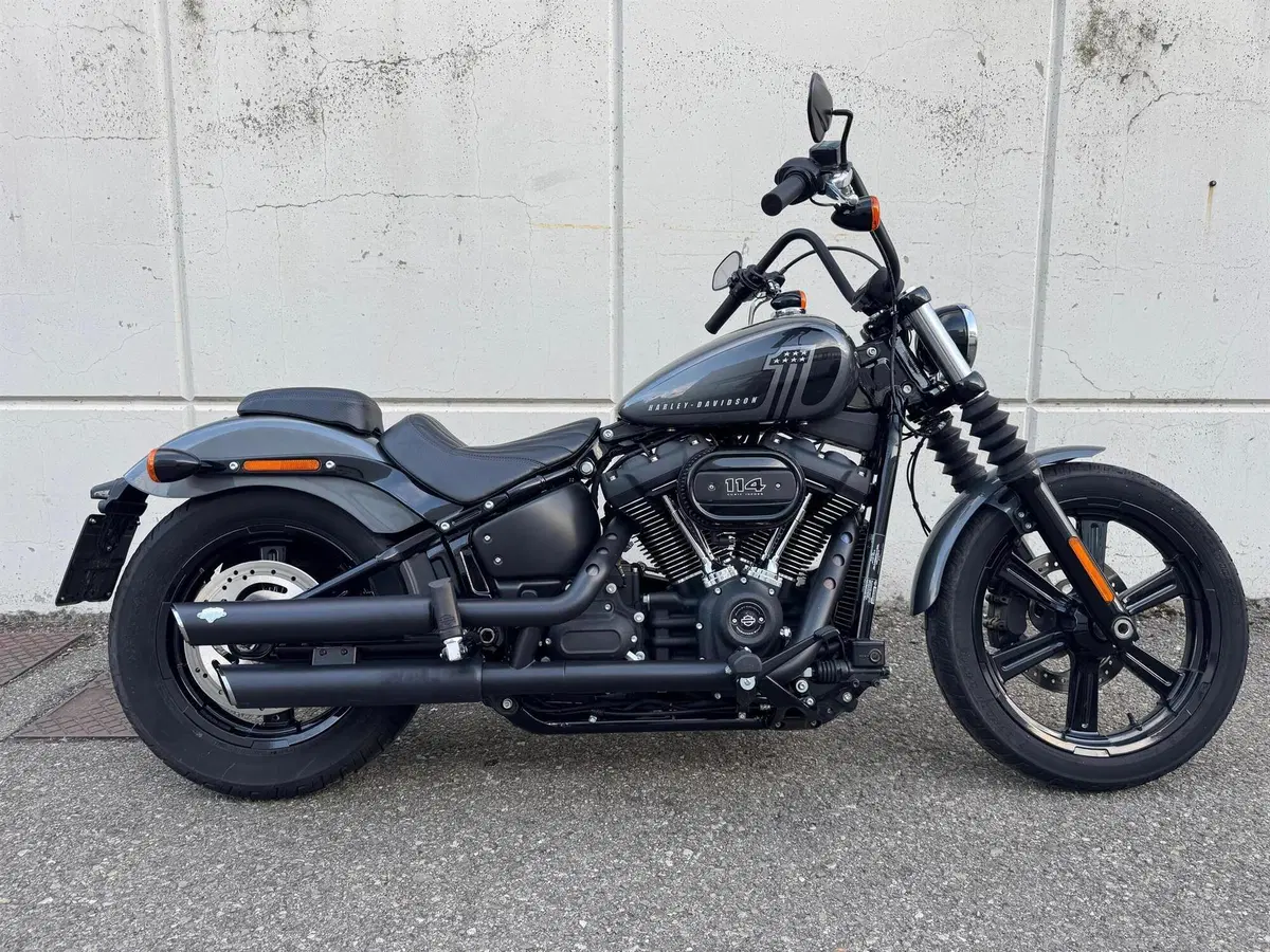 Harley-Davidson Street Bob 114 (2021 - 24)