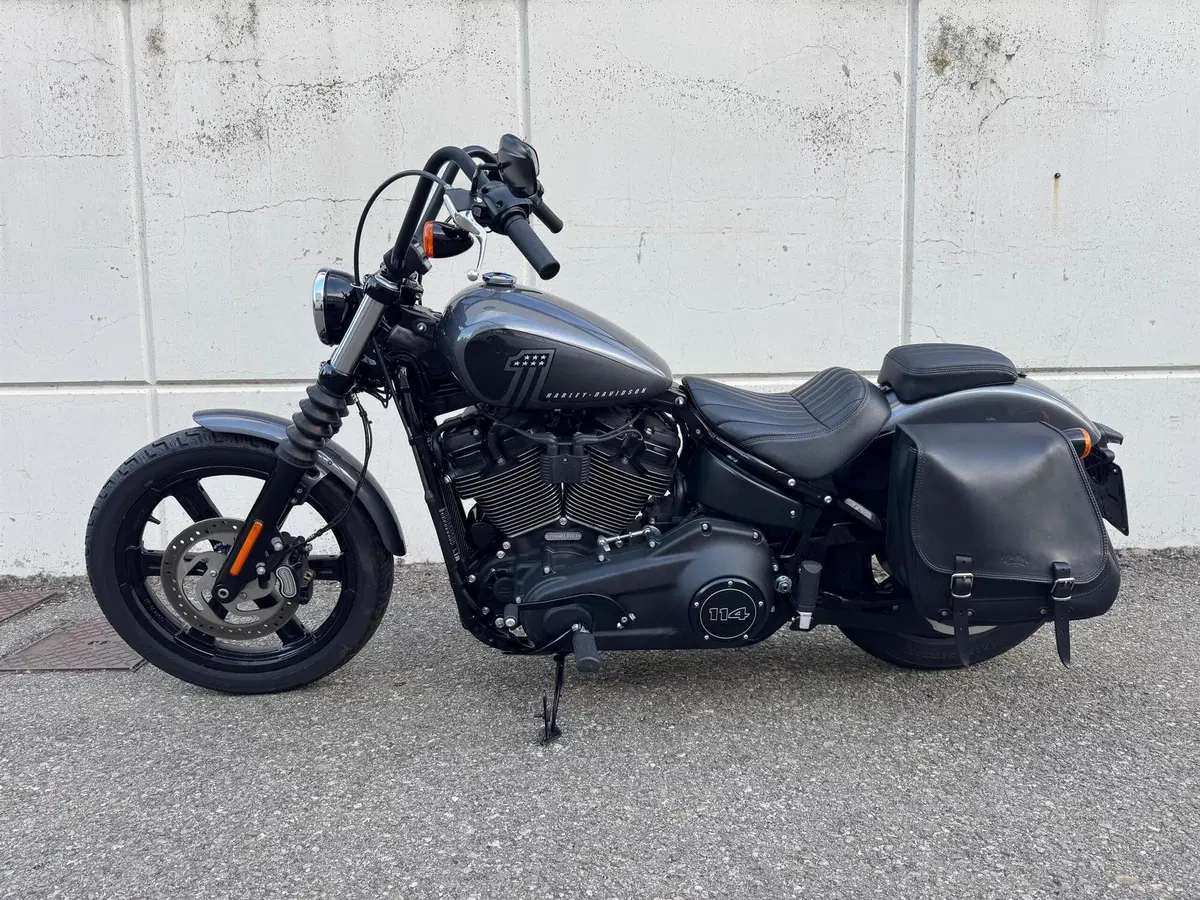 Harley-Davidson Street Bob 114 (2021 - 24) (2)