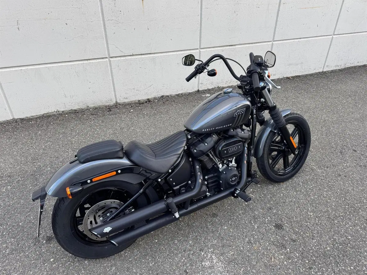 Harley-Davidson Street Bob 114 (2021 - 24) (3)