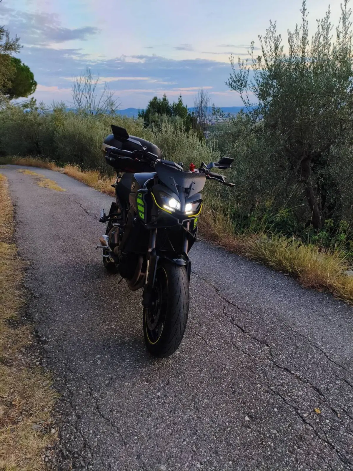 Yamaha MT-09 (2017 - 20) (9)