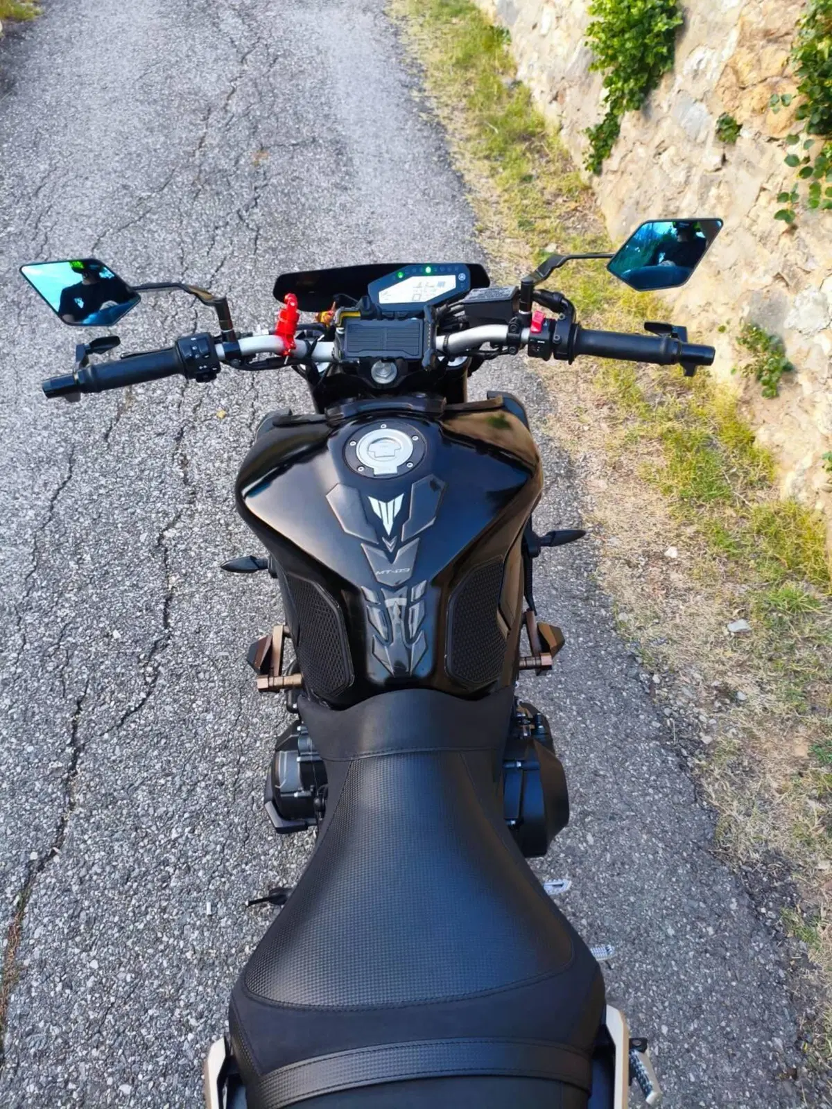 Yamaha MT-09 (2017 - 20) (13)