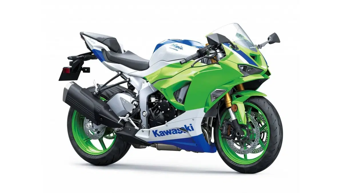 Kawasaki Ninja 1000 ZX-10R 40th Anniversary Edition (2024)
