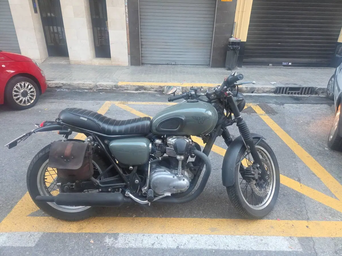 Kawasaki W 650 (2001 - 06) (13)
