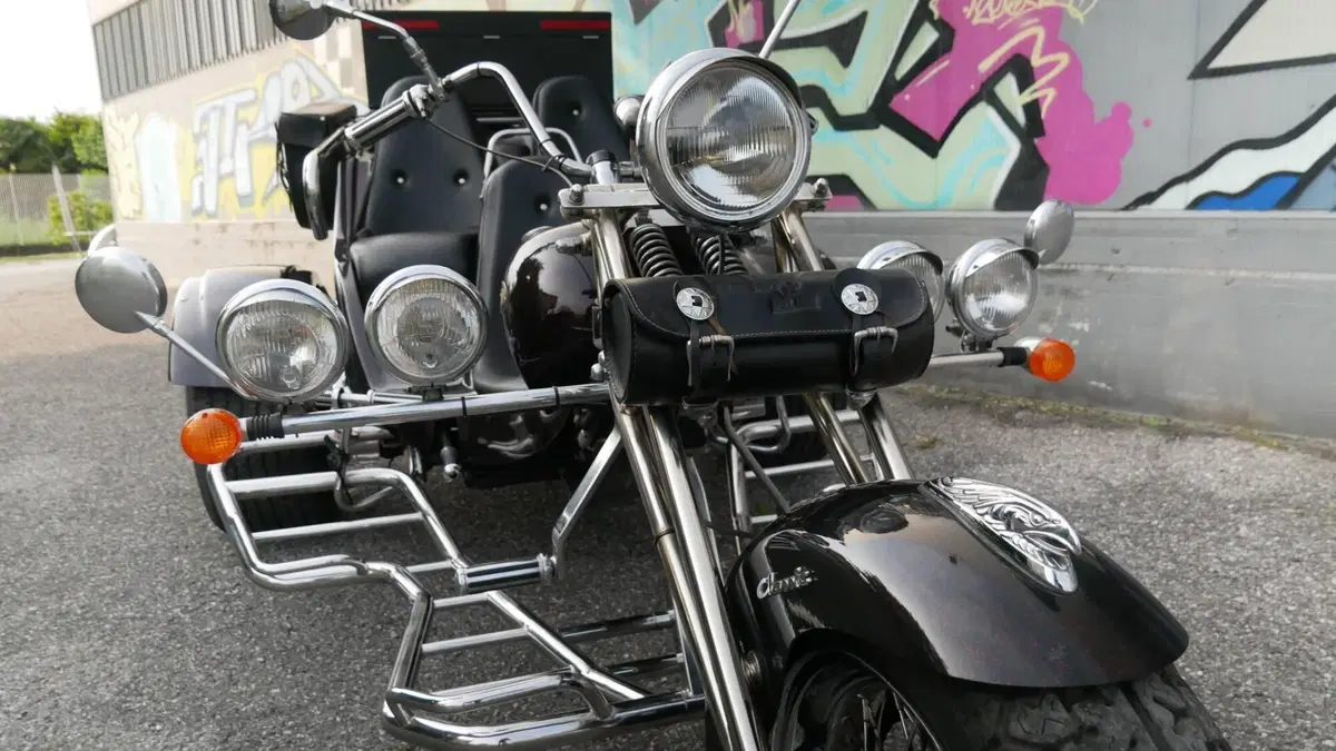 Mister Trike Easy Trike (2007 - 14) (2)