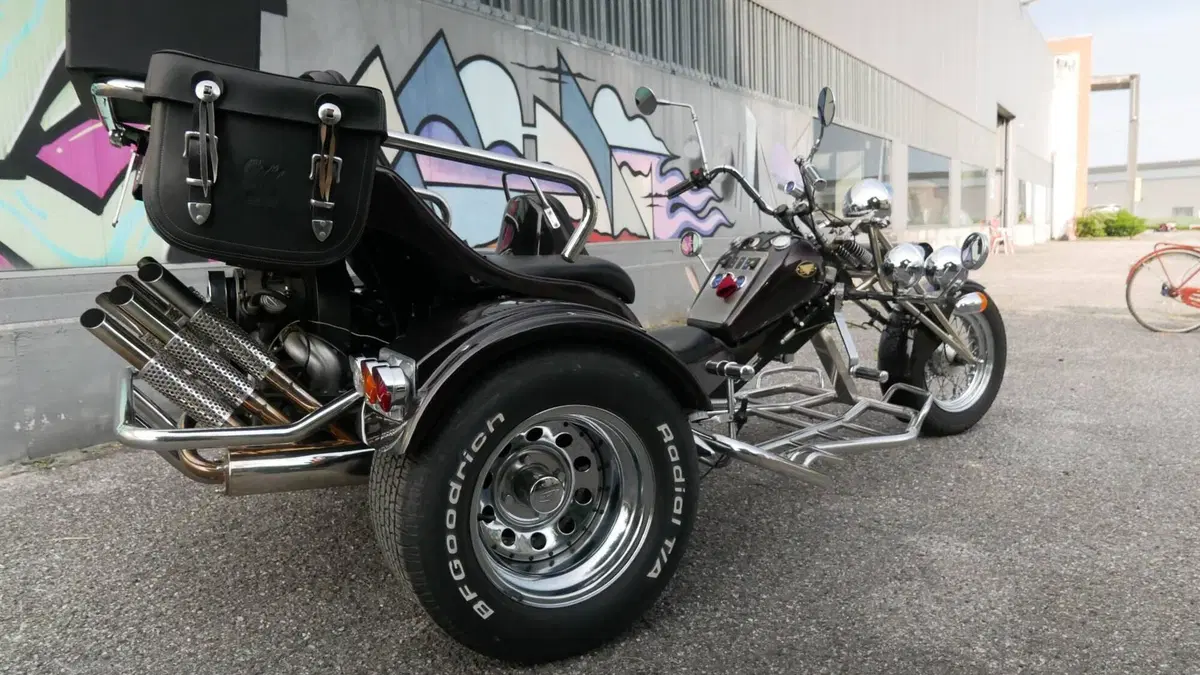 Mister Trike Easy Trike (2007 - 14) (3)