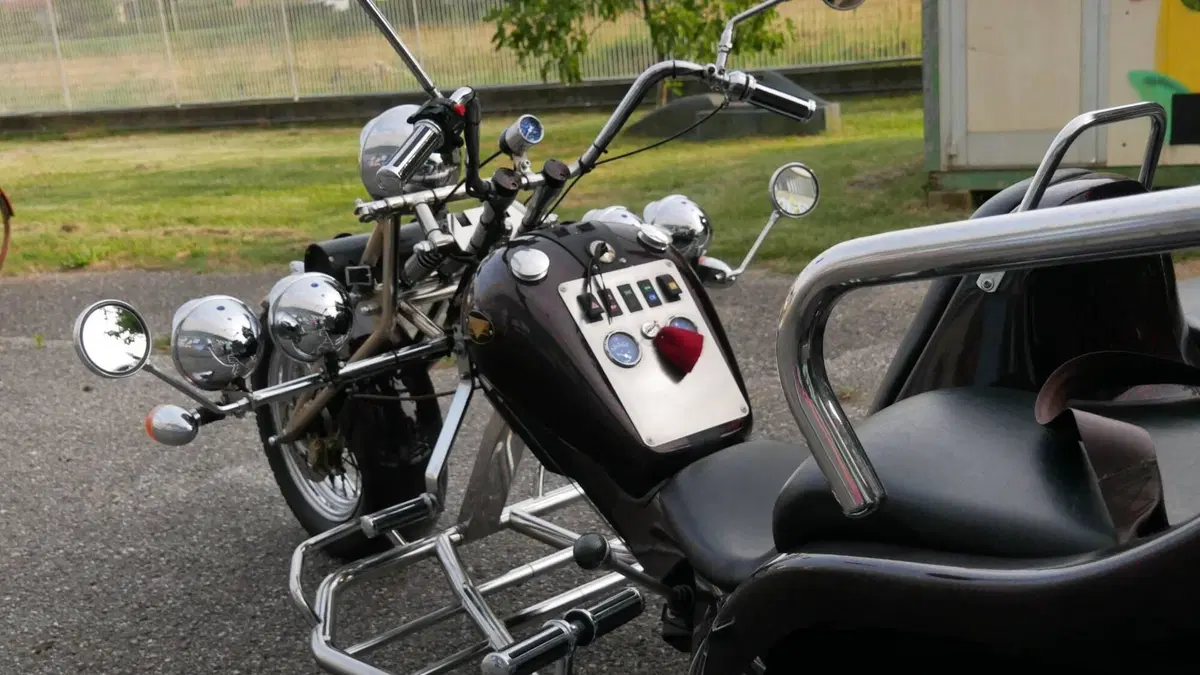 Mister Trike Easy Trike (2007 - 14) (5)