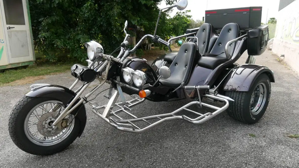 Mister Trike Easy Trike (2007 - 14) (6)
