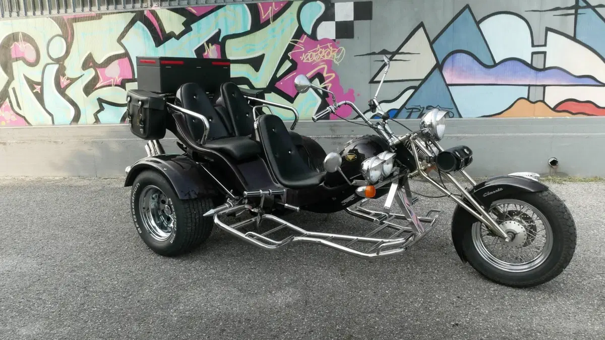 Mister Trike Easy Trike (2007 - 14) (7)
