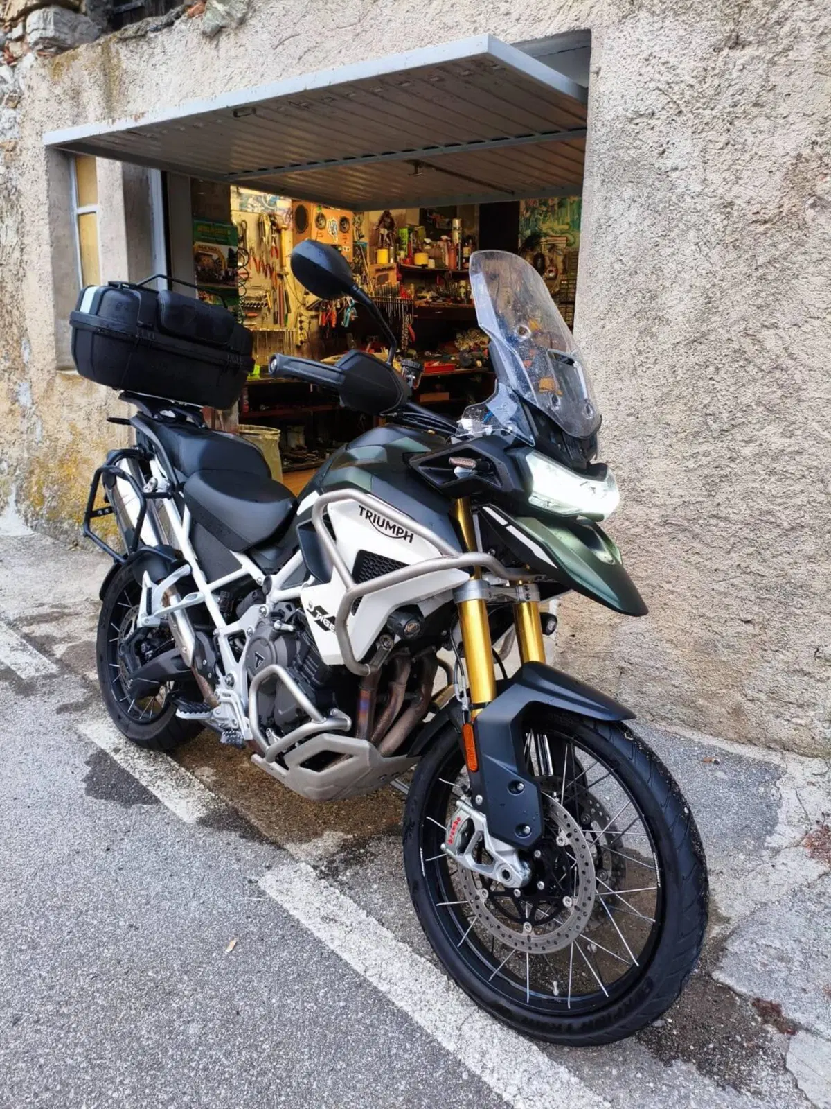 Triumph Tiger 1200 Rally Pro (2024 - 26)