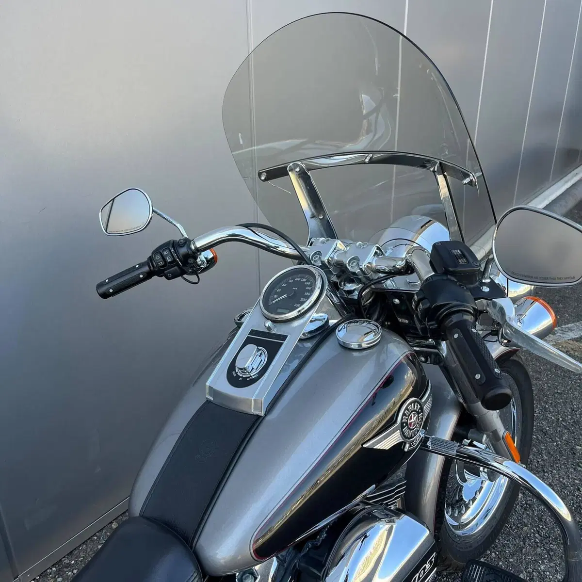 Harley-Davidson 1690 Fat Boy Special (2010 - 17) - FLSTF (9)