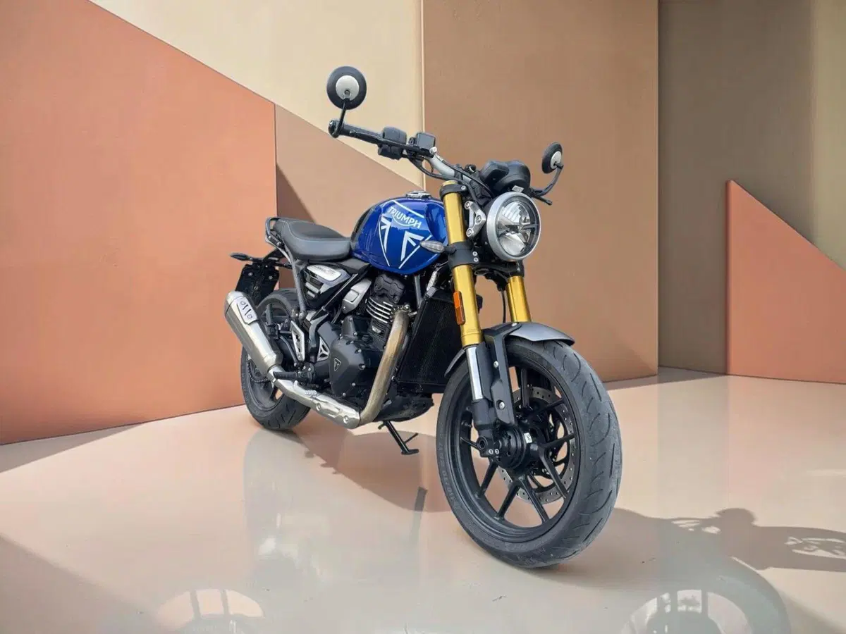 Triumph Speed 400 (2024 - 26) (4)