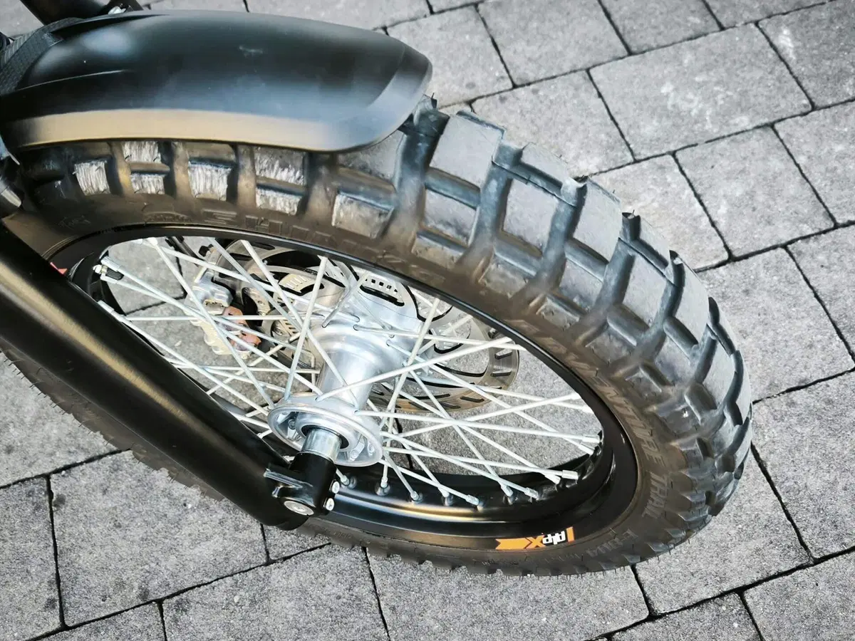 Betamotor Alp X (2024 - 26) (7)