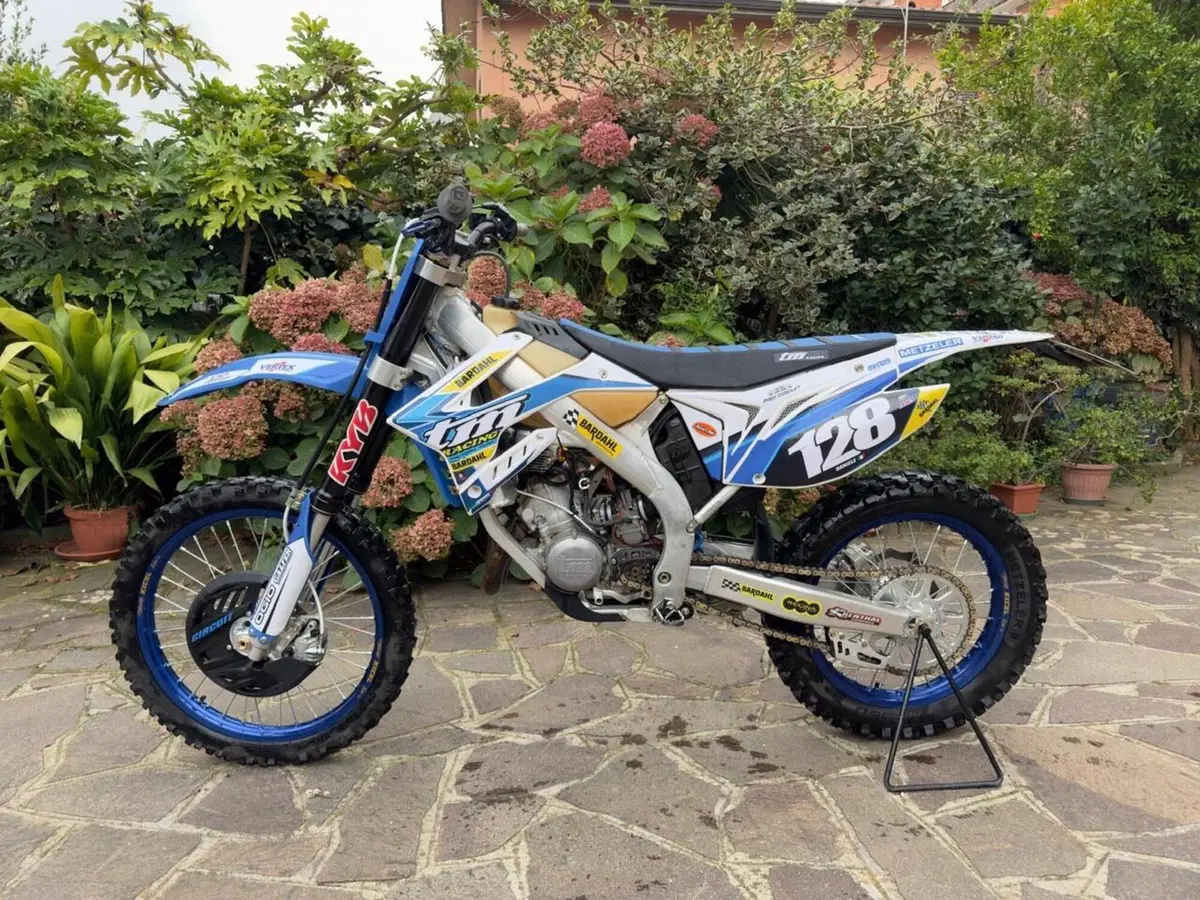 Tm Moto EN 125 (2017) (2)