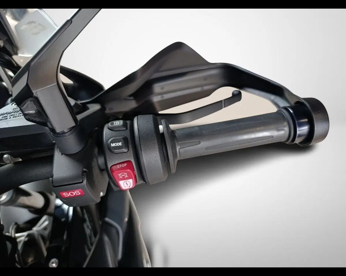 Bmw R 1250 GS (2021 - 24) (11)