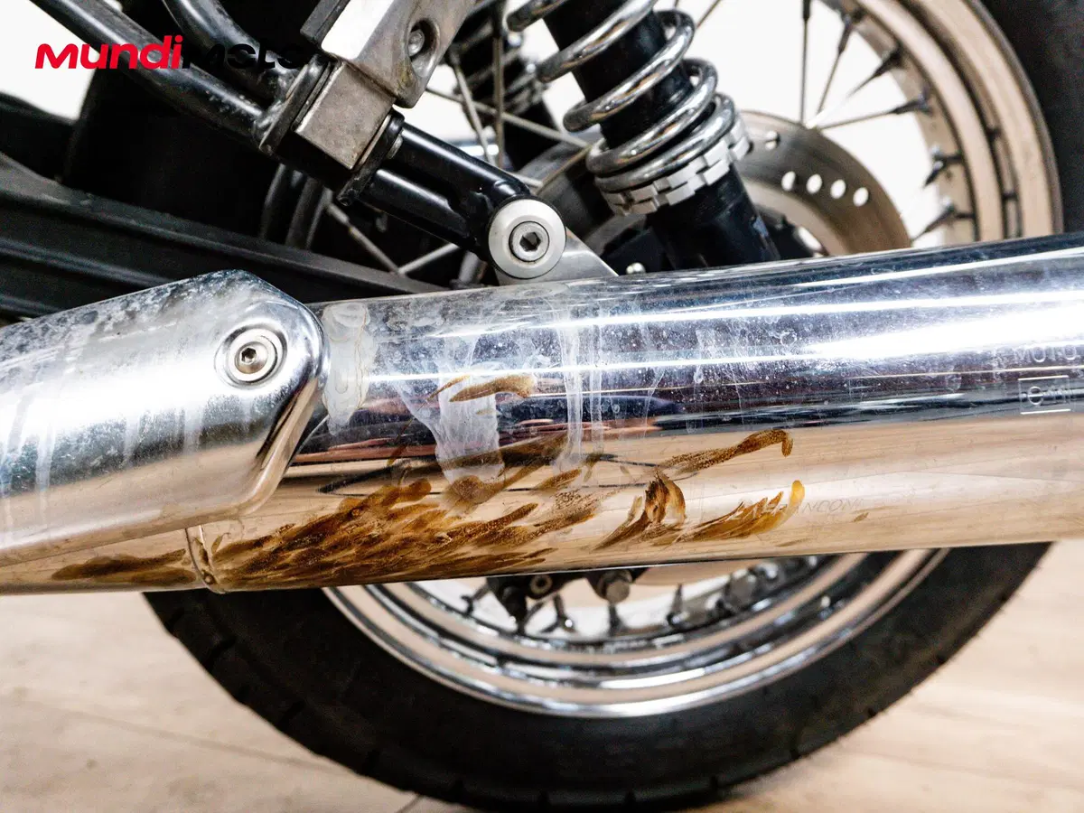 Moto Guzzi V7 Classic (2008 - 12) (13)