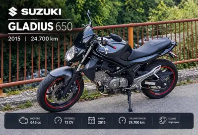 Suzuki Gladius 650 SFV (2009 - 15) usata