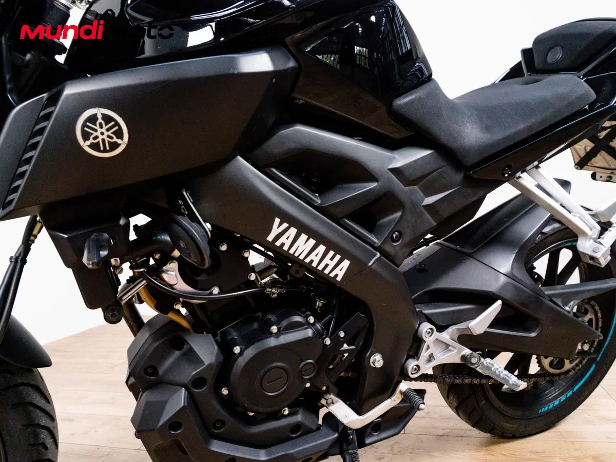 Yamaha MT-125 (2014 - 16) (9)