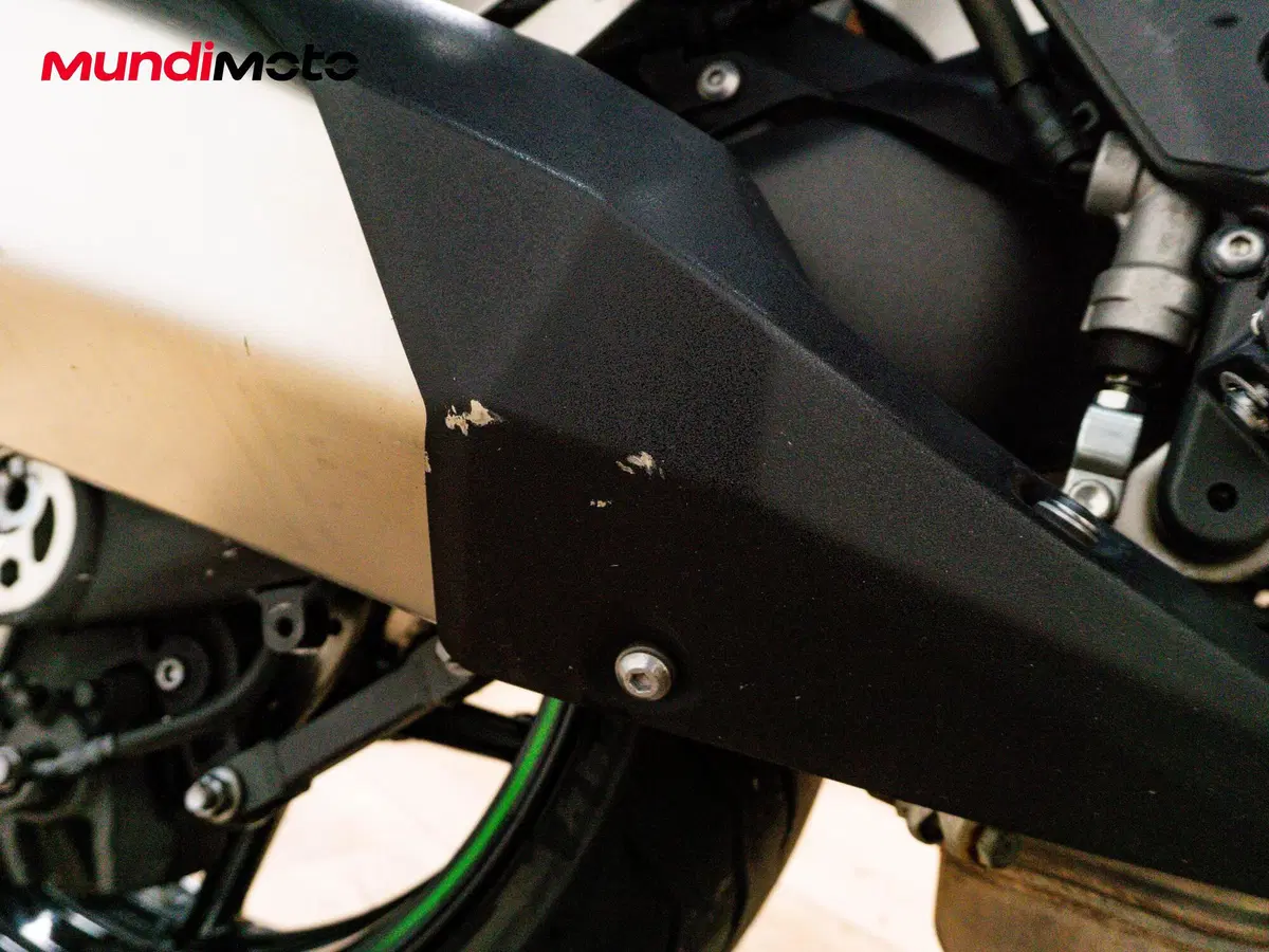 Kawasaki Ninja 1000 SX (2020) (15)