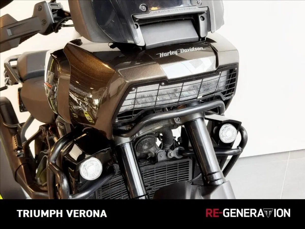 Harley-Davidson Pan America 1250 Special (2020 - 25) (8)