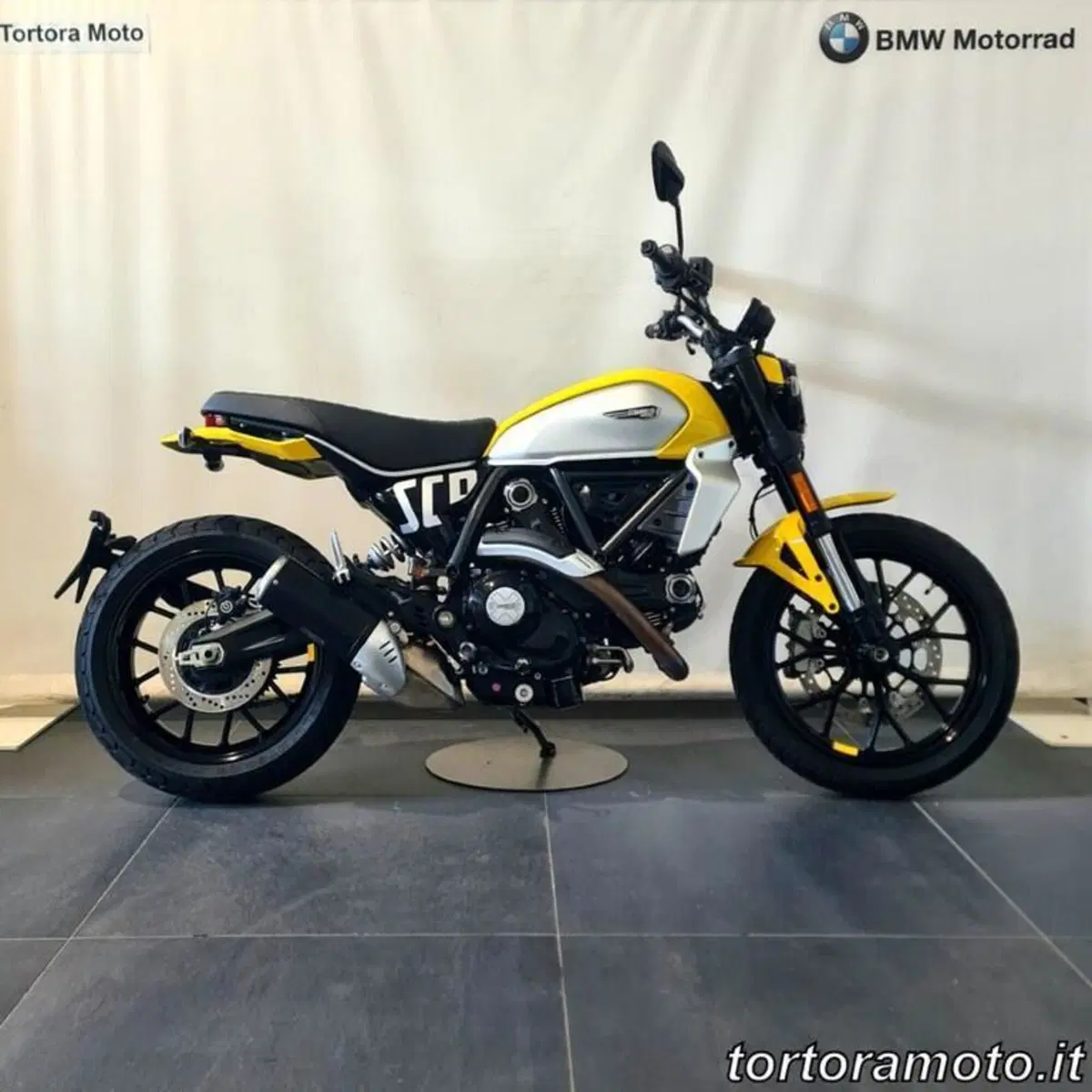 Ducati Scrambler 800 Icon (2023 - 24) (2)
