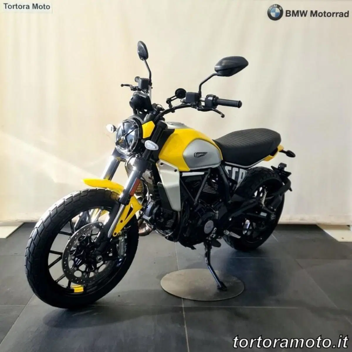Ducati Scrambler 800 Icon (2023 - 24) (3)
