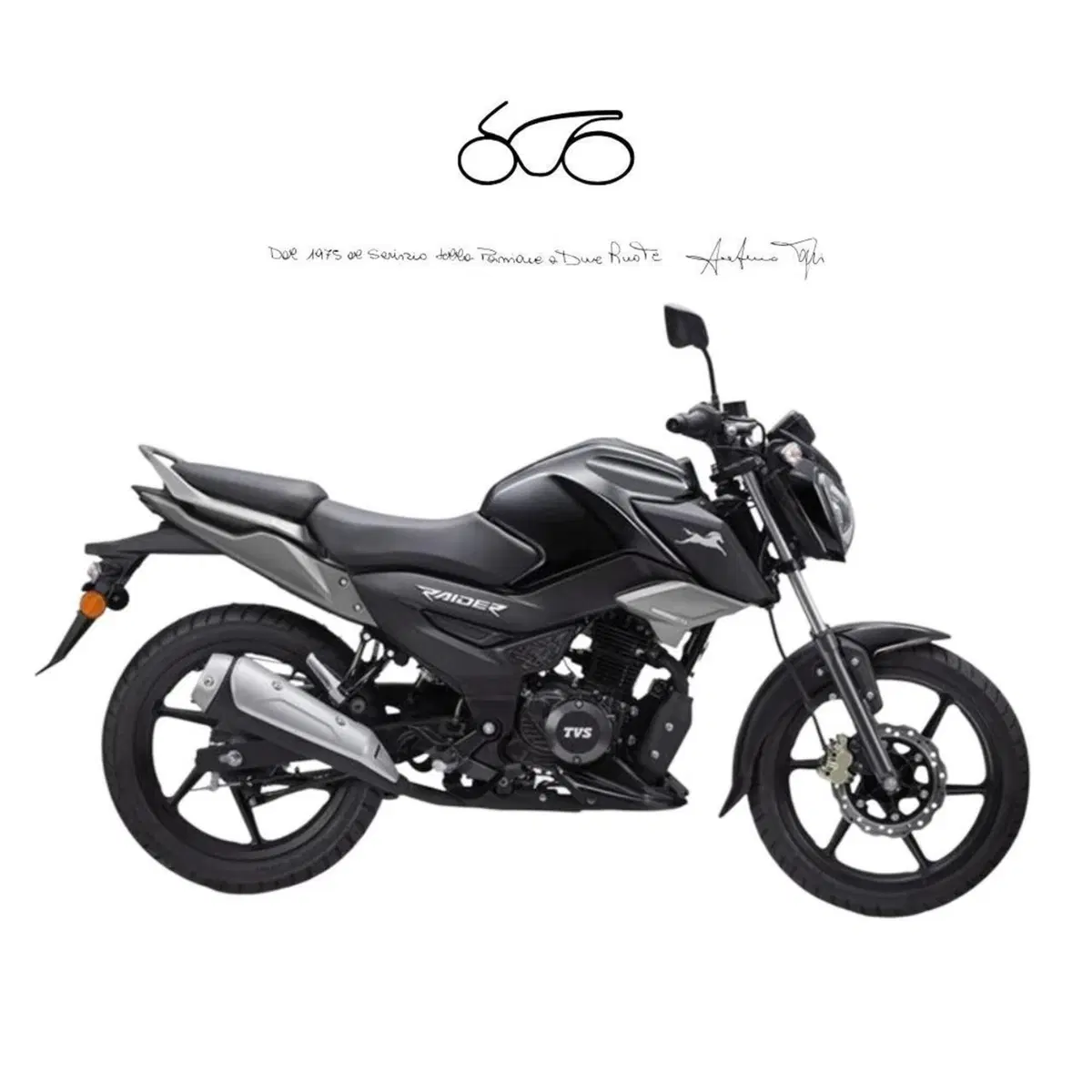 TVS Motor Raider 125 (2024 - 26)