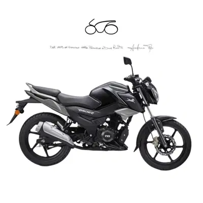 TVS Motor Raider 125 (2024 - 26) nuova