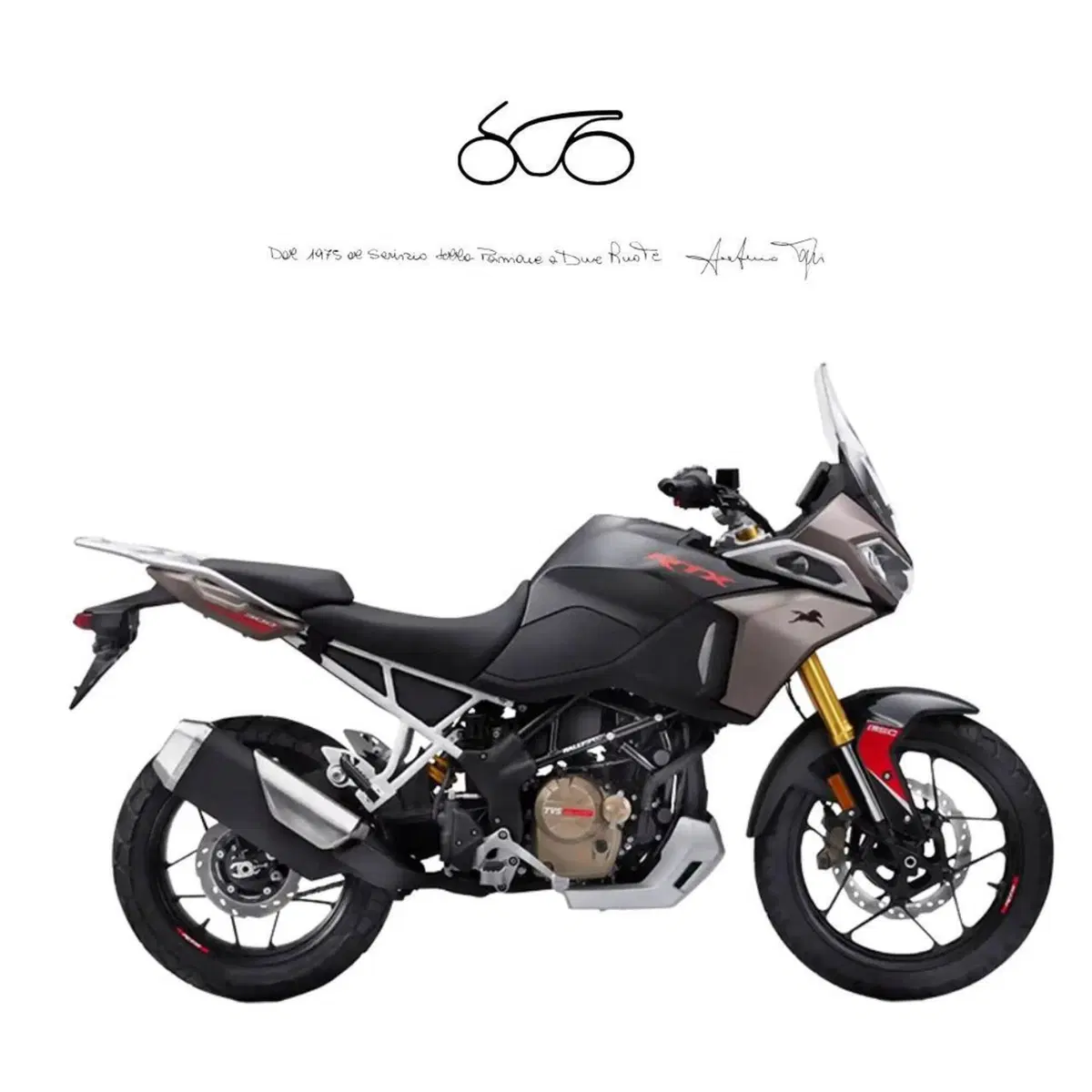 TVS Motor Ntorq 125 (2024 - 26)