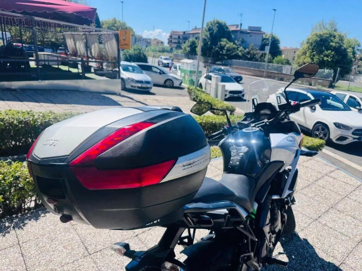 Kawasaki Versys 650 (2017 - 20) (3)