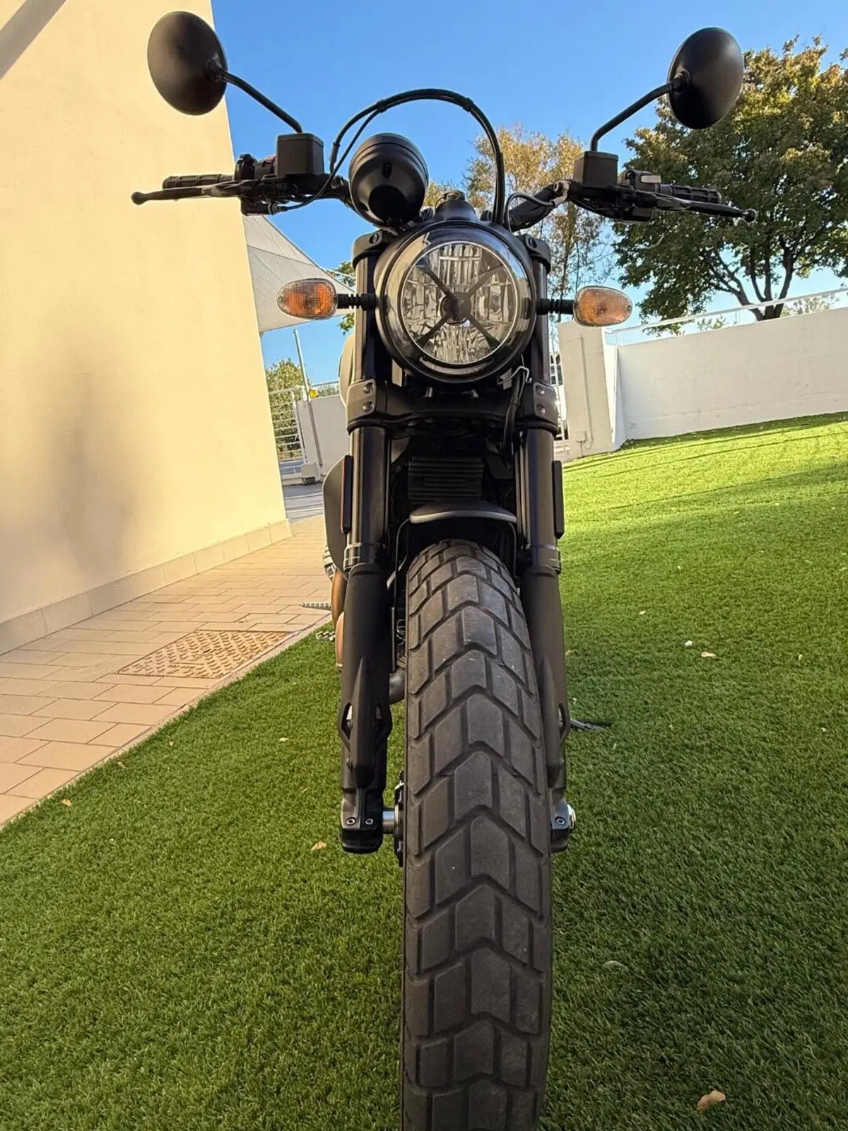 Ducati Scrambler 800 Icon Dark (2021 - 22) (5)