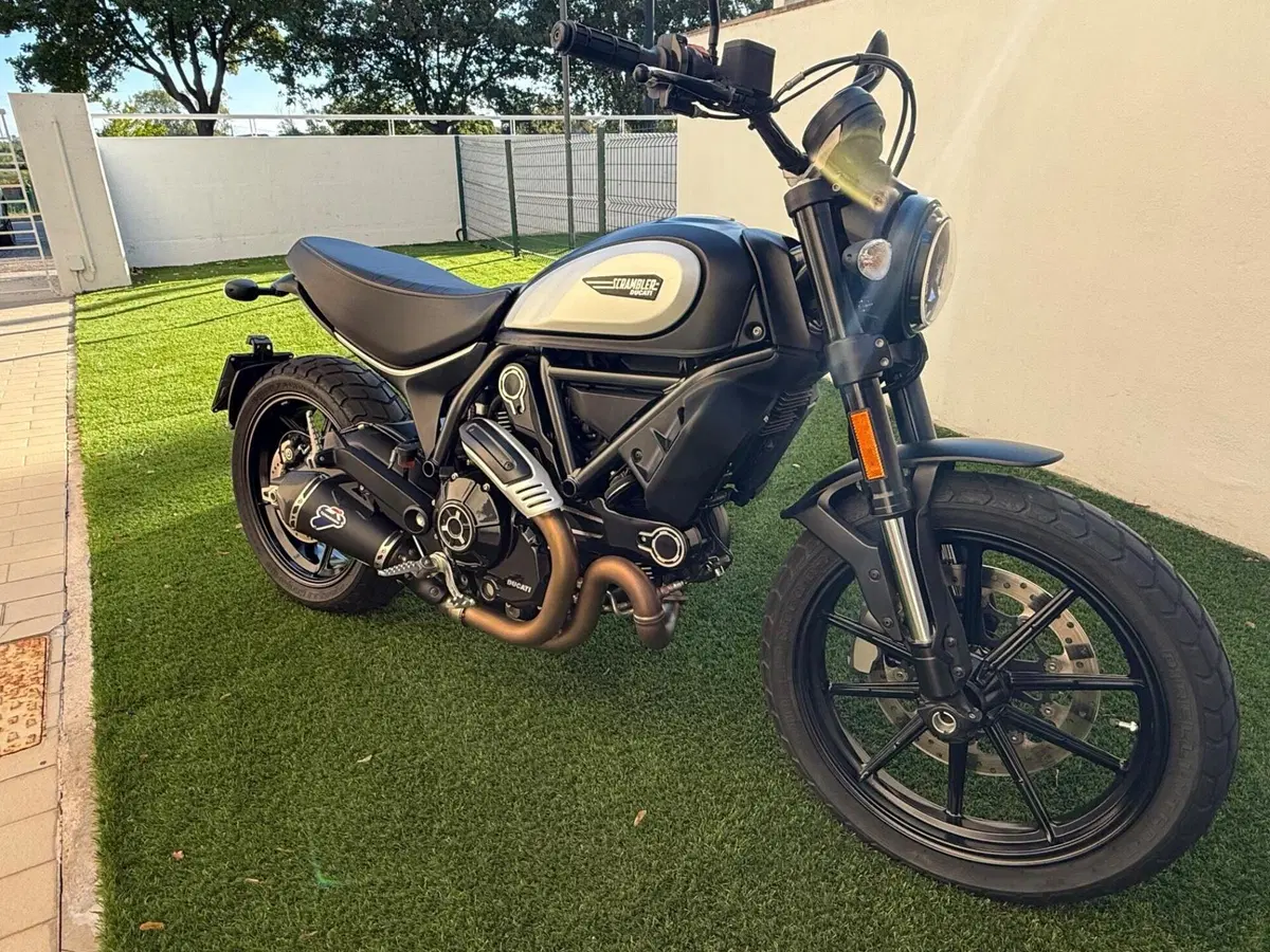 Ducati Scrambler 800 Icon Dark (2021 - 22) (6)