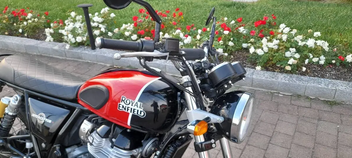 Royal Enfield Interceptor 650 (2019 - 20) (3)