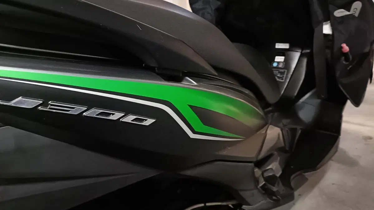 Kawasaki J 300 (2017 - 21) (4)