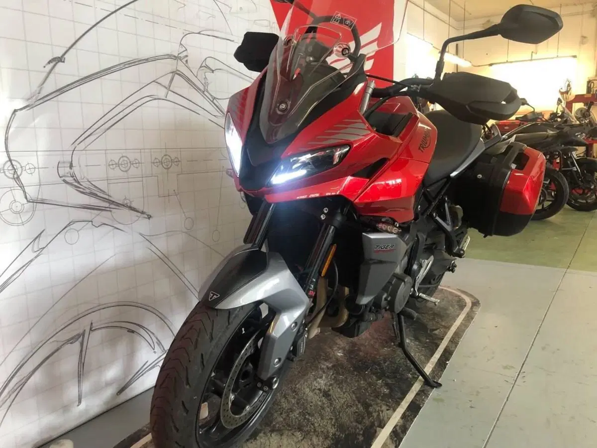Triumph Tiger Sport 660 (2022 - 24) (5)