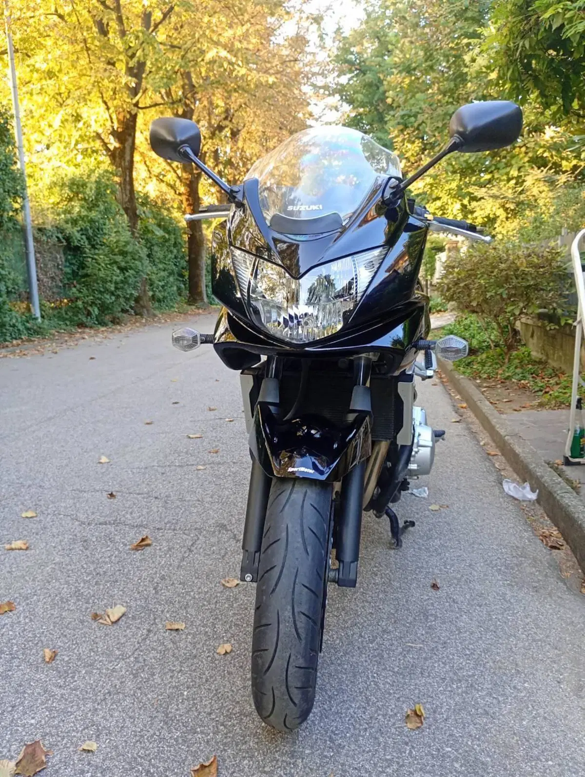 Suzuki GSF 650 Bandit S (2006 - 12) (2)