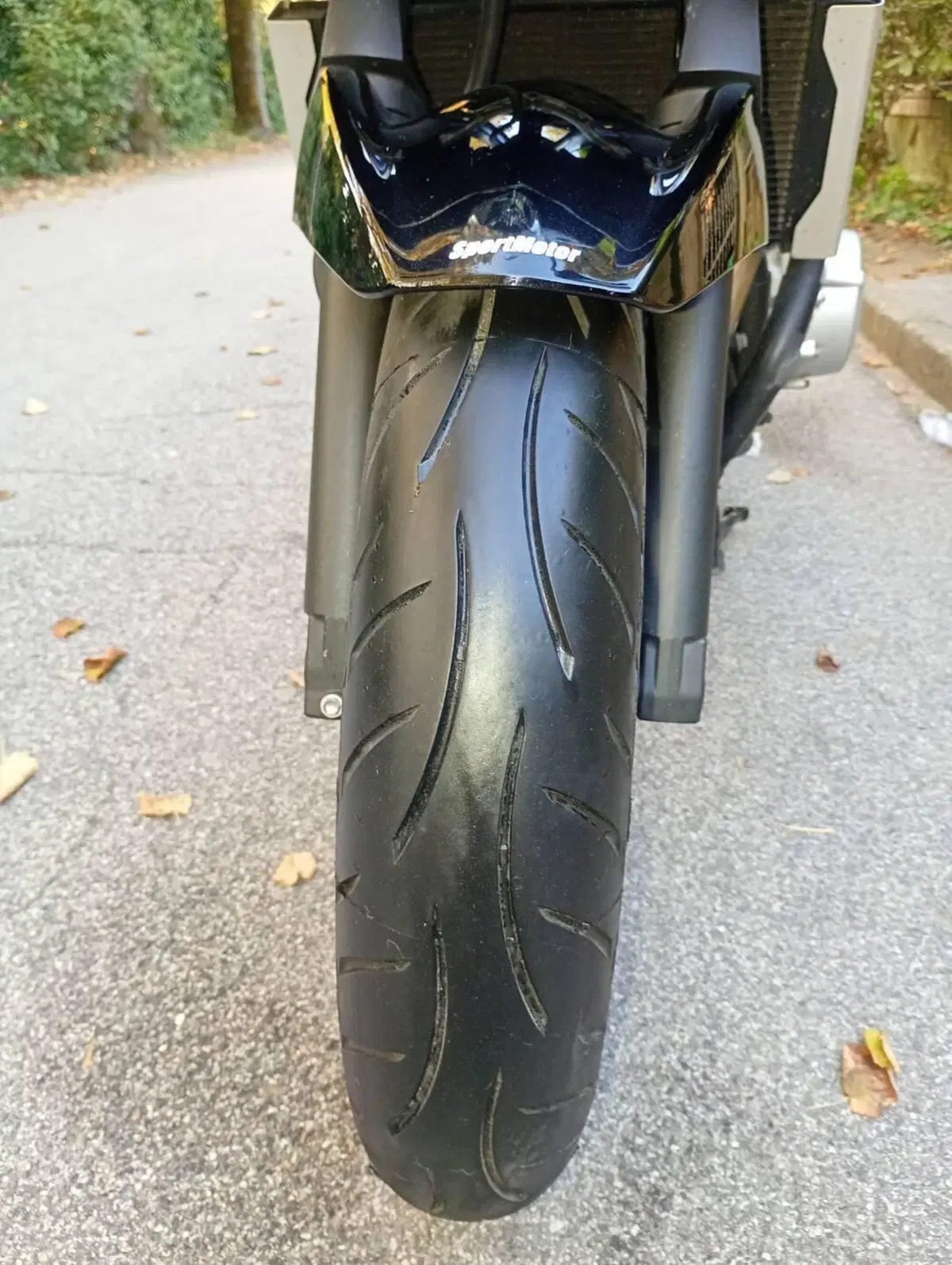 Suzuki GSF 650 Bandit S (2006 - 12) (15)