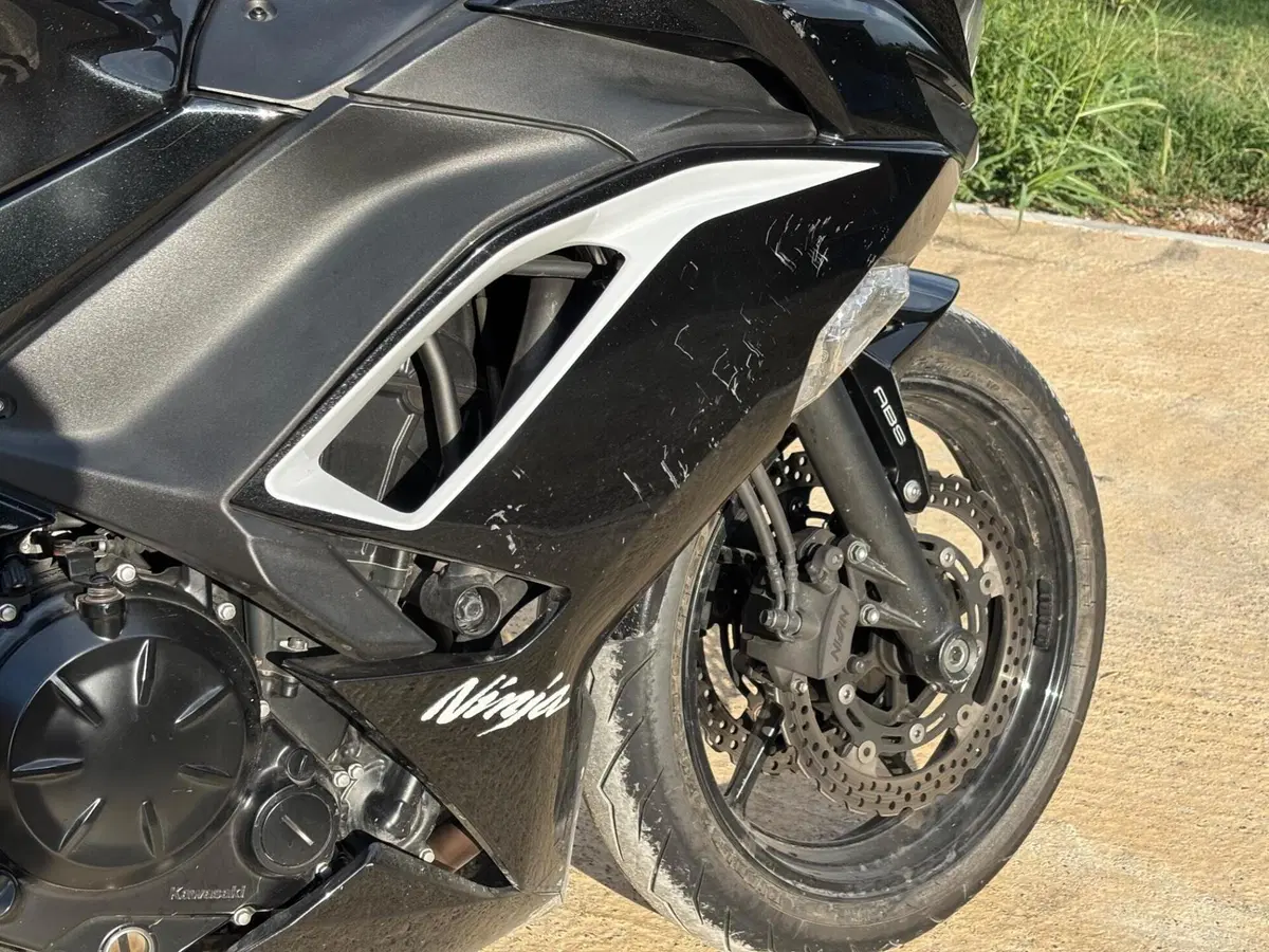 Kawasaki Ninja 650 (2021 - 24) (3)