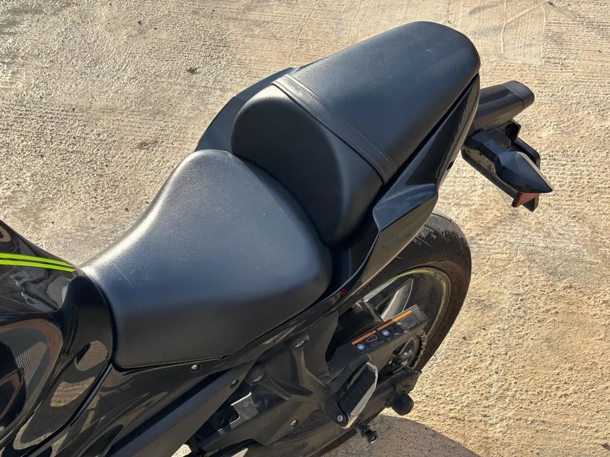 Kawasaki Ninja 650 (2021 - 24) (12)