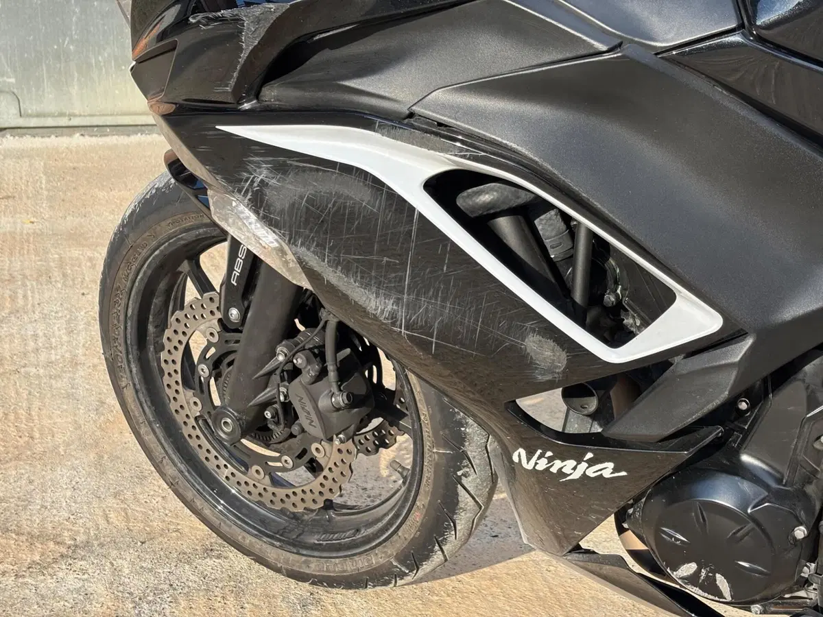 Kawasaki Ninja 650 (2021 - 24) (14)