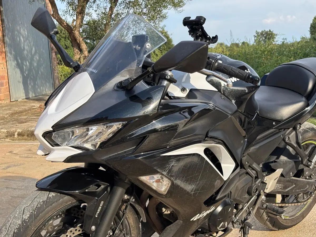 Kawasaki Ninja 650 (2021 - 24) (15)