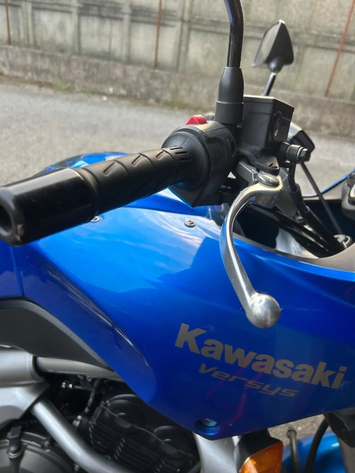 Kawasaki Versys 650 (2006 - 09) (8)