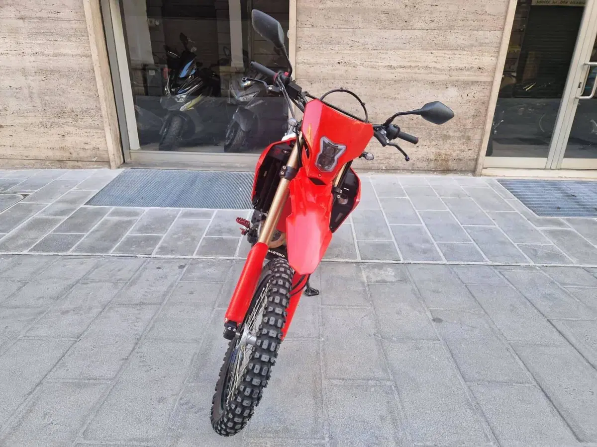 Honda CRF 300L (2021 - 24) (2)