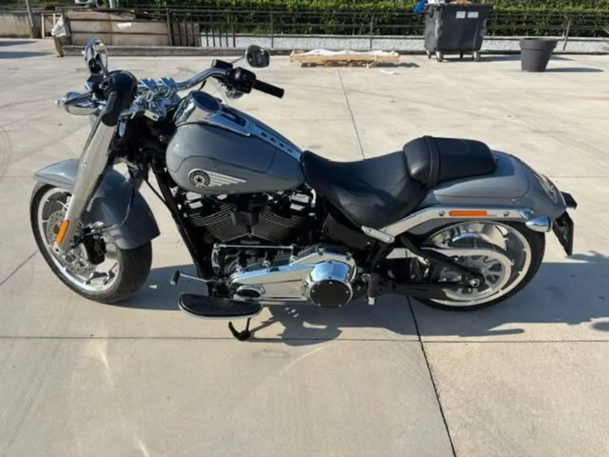 Harley-Davidson Fat Boy 117 (2025 - 26) (3)
