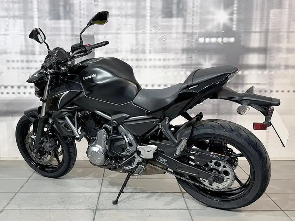 Kawasaki Z 650 (2017 - 19) (2)