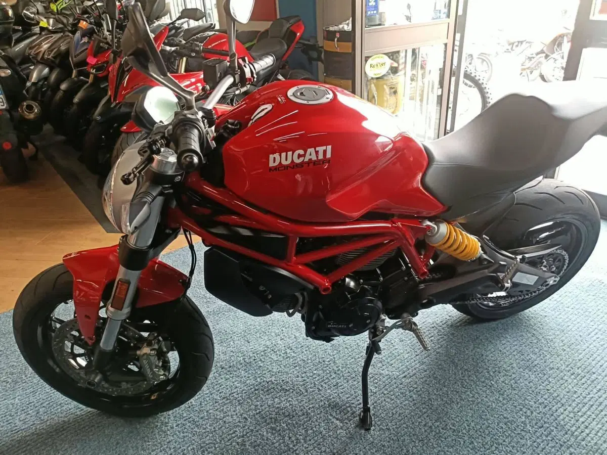 Ducati Monster 797 (2017 - 18) (4)