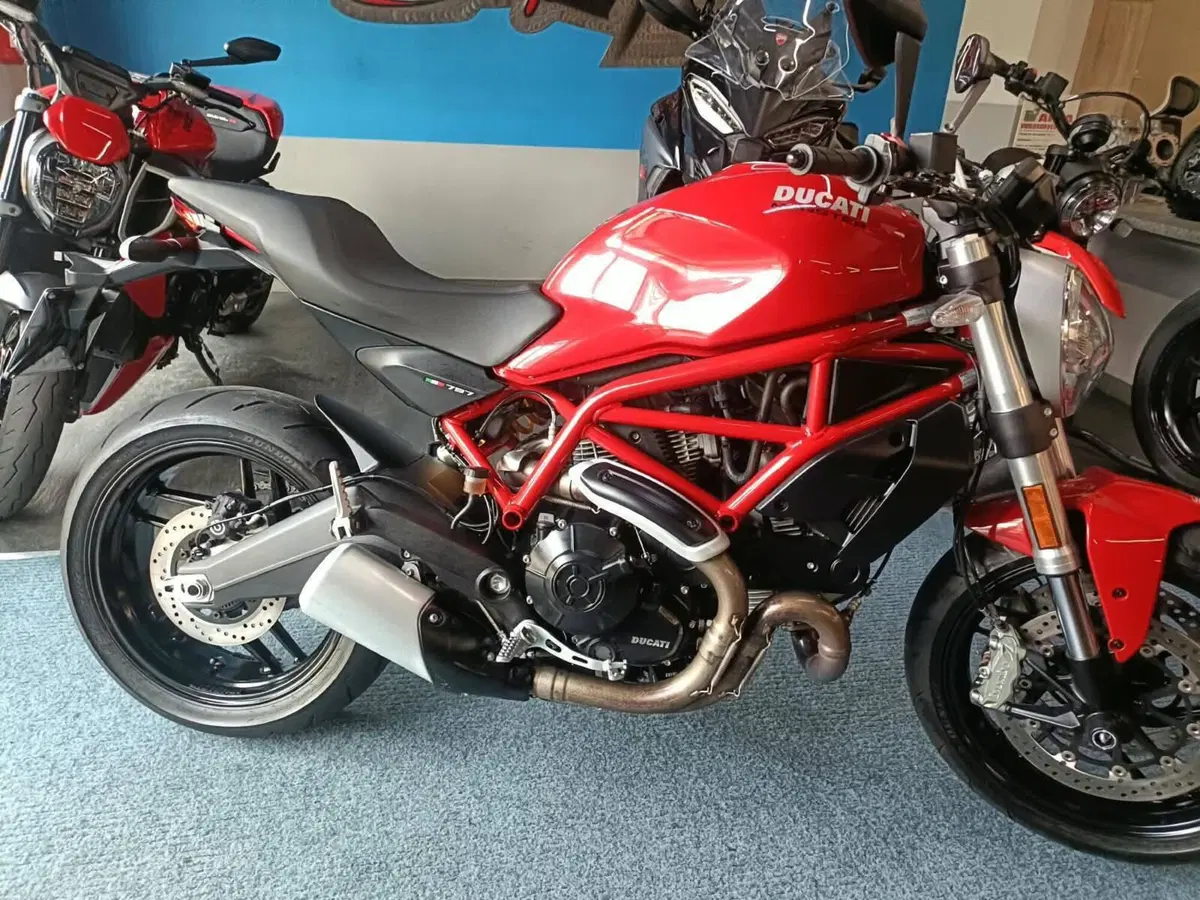 Ducati Monster 797 (2017 - 18) (2)