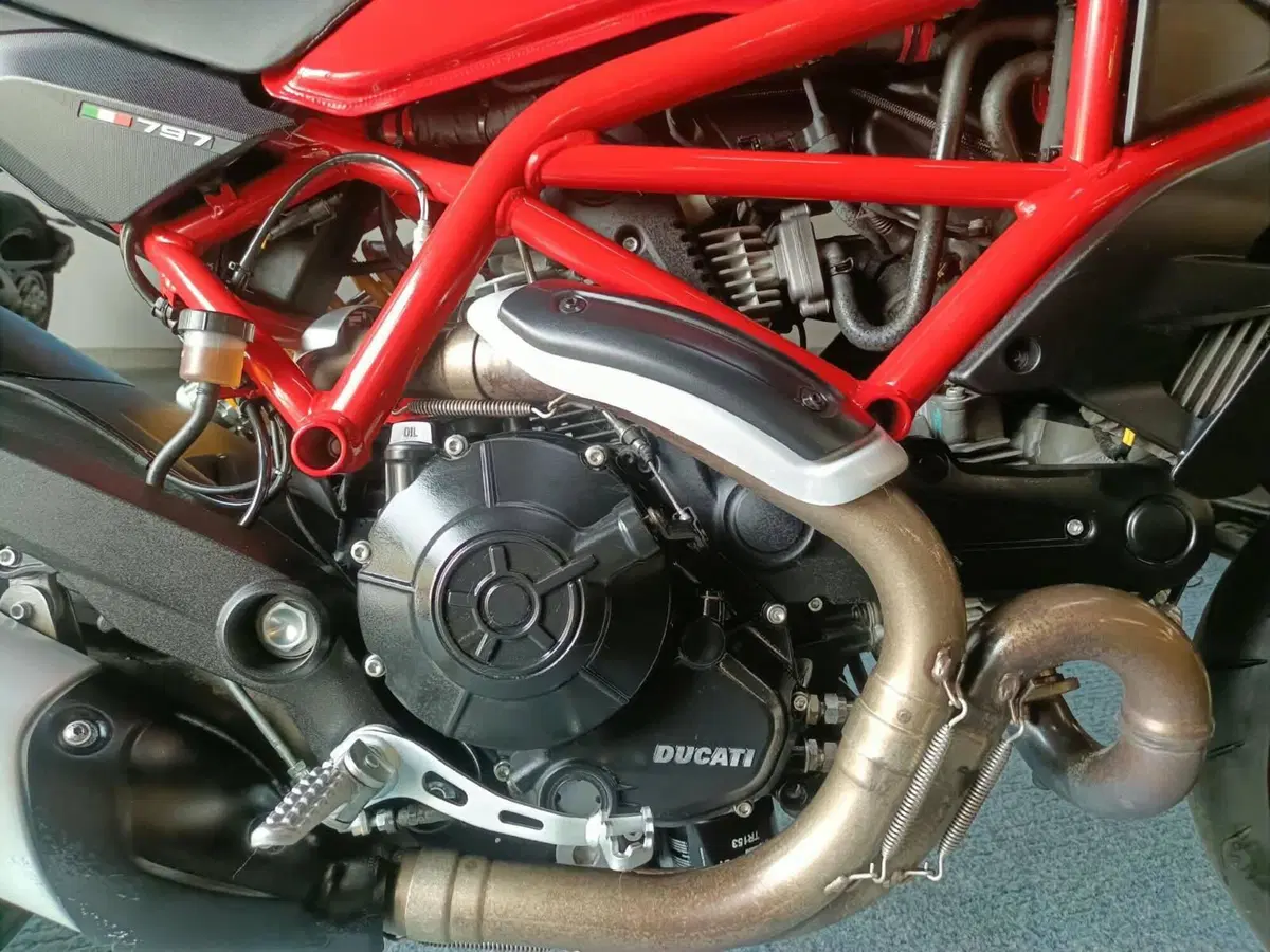 Ducati Monster 797 (2017 - 18) (5)