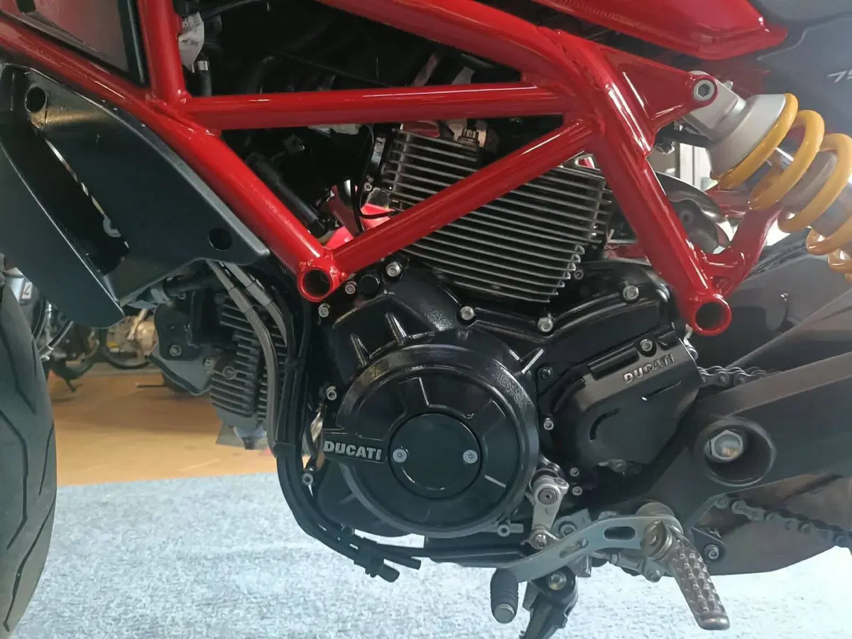 Ducati Monster 797 (2017 - 18) (9)